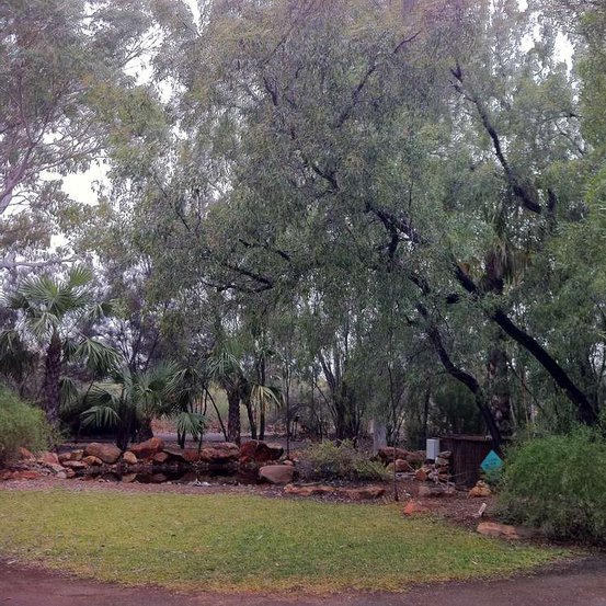 Image of Cooba