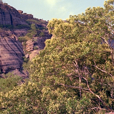 Image of Anbinik 