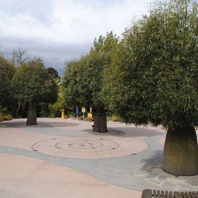 Image of Bottle Tree